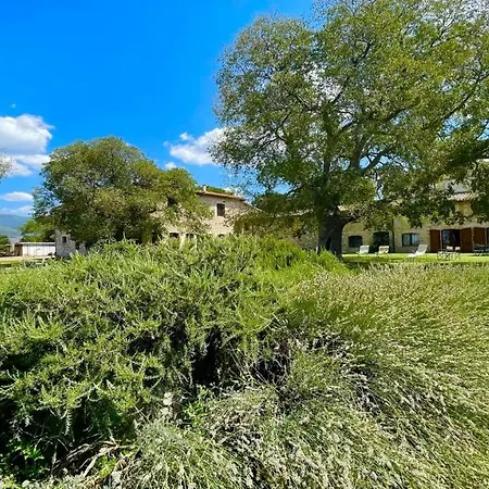 Exclusive Pool-open Year-spoleto Biofarm-slps 8-village Shops, Bar1 Km 7 *